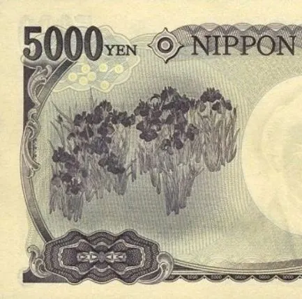 5000엔-오가타고린.JPG