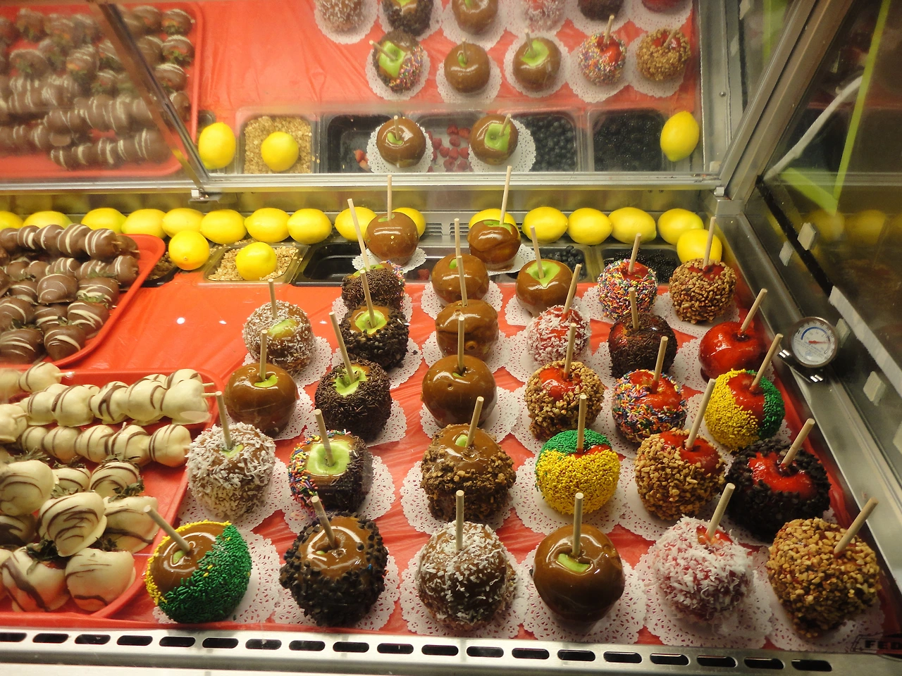 DSC02667 미국 보스턴에서.JPG