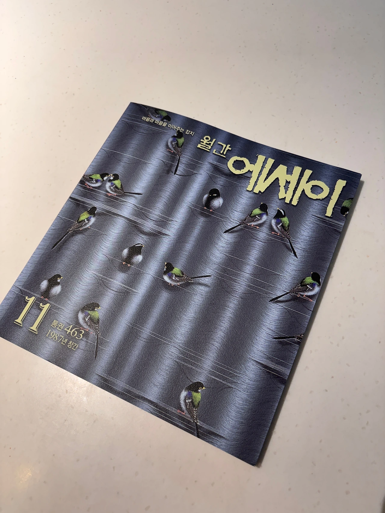 KakaoTalk_Photo_2025-10-30-16-40-22 001.jpeg