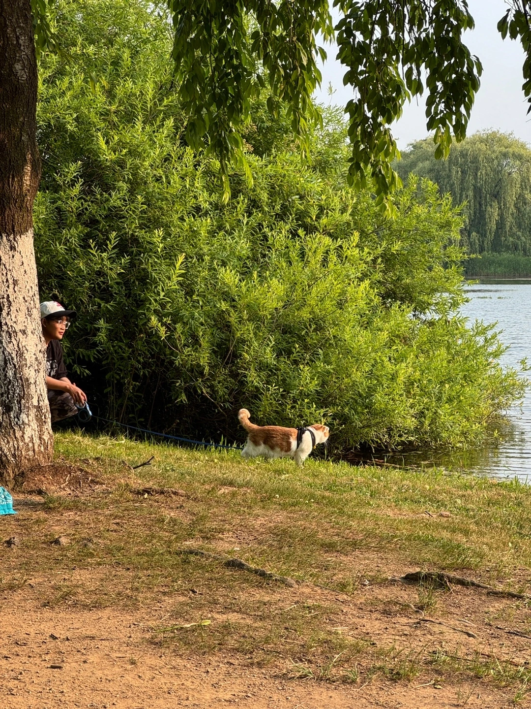 KakaoTalk_Photo_2024-07-03-23-38-23 003.jpeg