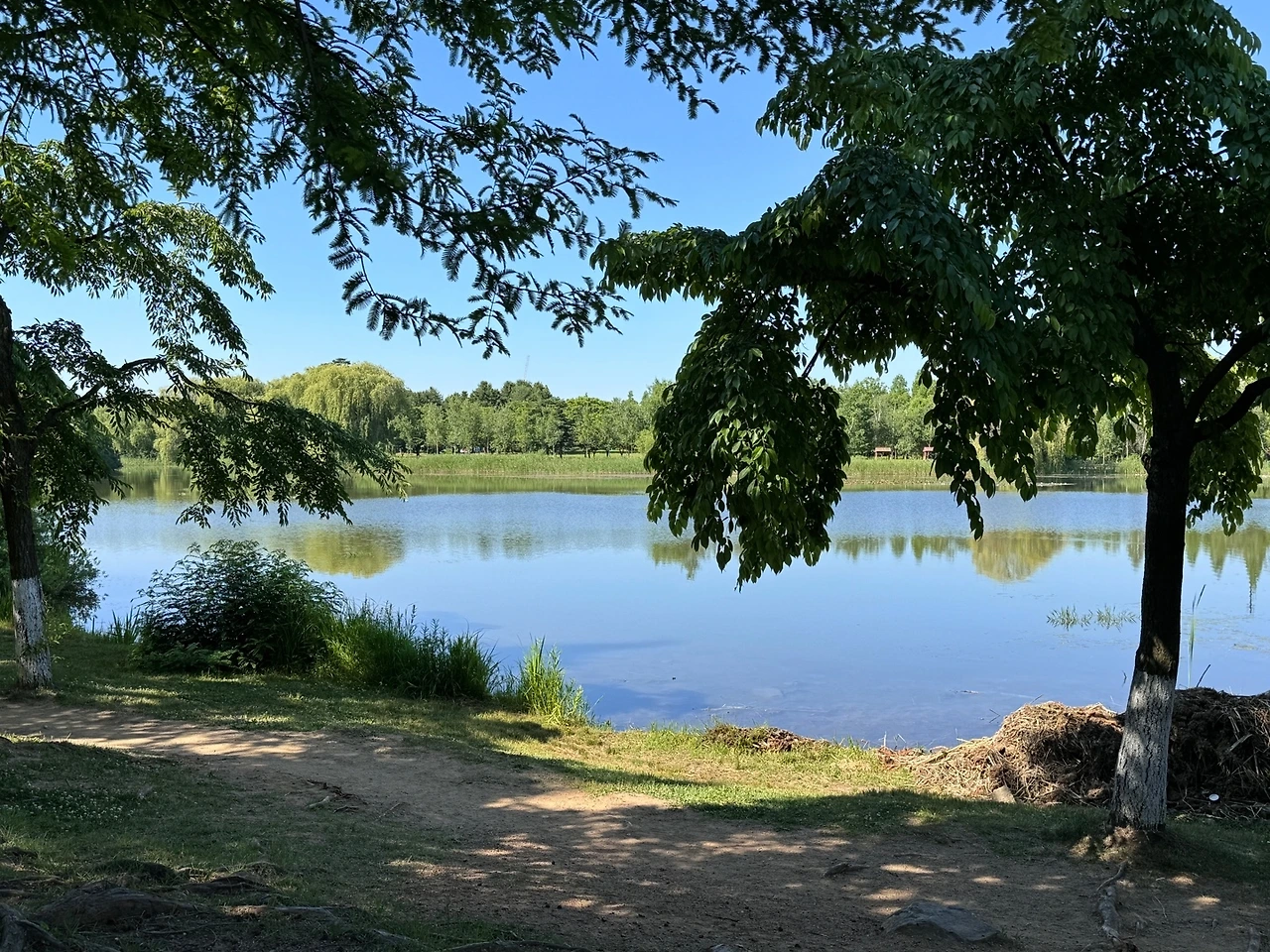 KakaoTalk_Photo_2024-07-03-23-38-23 002.jpeg