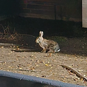 KakaoTalk_Photo_2024-12-09-20-46-08 003.jpeg