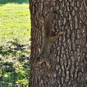 KakaoTalk_Photo_2024-12-09-20-46-12 005.jpeg