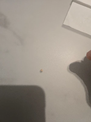 KakaoTalk_Photo_2025-08-25-17-13-48 005.jpeg