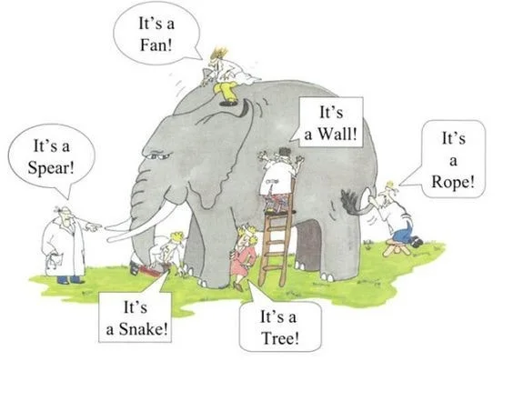 코끼리 만지기.jpeg