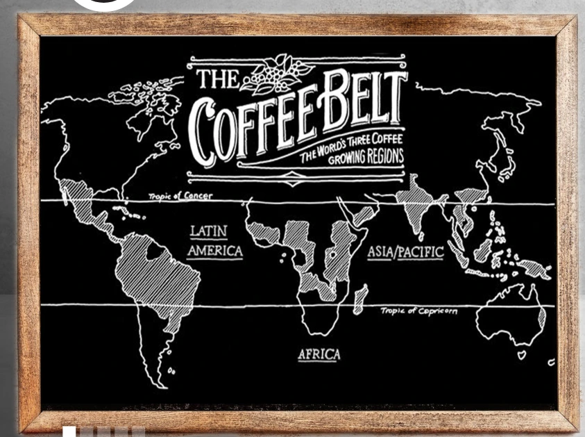 coffee belt.PNG