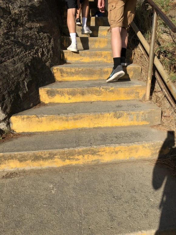 IMG_7539.jpg?type=w580