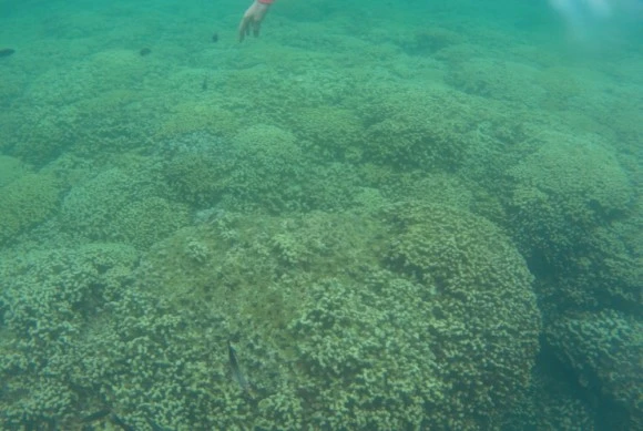 output_3048090953.jpg?type=w580