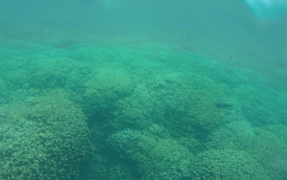 output_268301318.jpg?type=w580