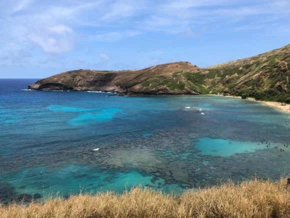 IMG_6771.jpg?type=w580