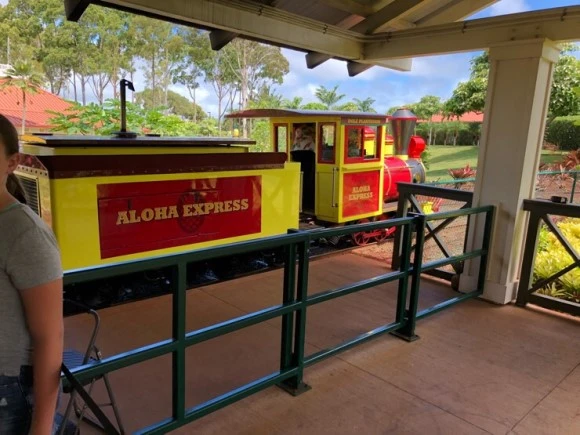 IMG_6462.jpg?type=w580