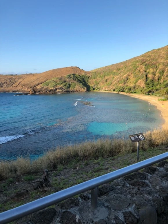 IMG_6694.jpg?type=w580