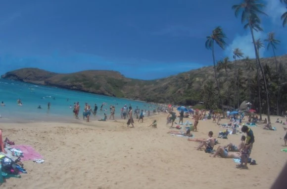 output_2737014318.jpg?type=w580