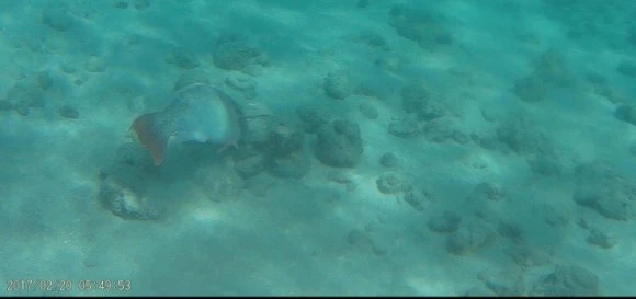 output_1269990037.jpg?type=w580