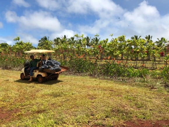 IMG_6502.jpg?type=w580