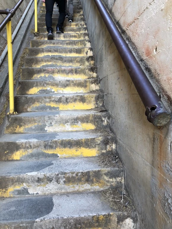 IMG_7542.jpg?type=w580