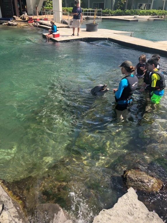 IMG_7660.jpg?type=w580