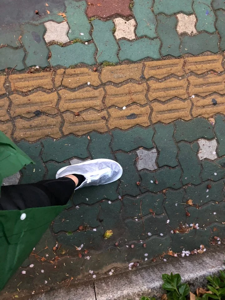 KakaoTalk_20190410_120017144.jpg?type=w1