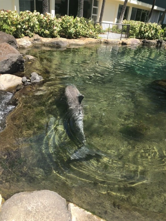 IMG_7697.jpg?type=w580