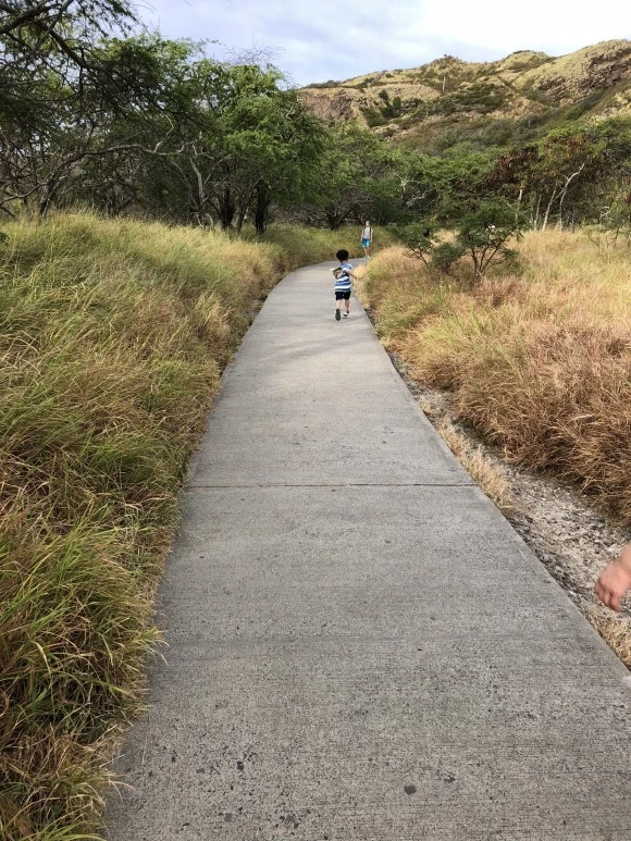 IMG_7515.jpg?type=w580