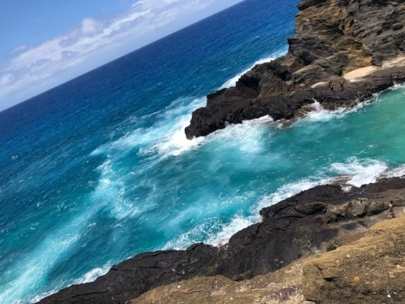 IMG_7876.jpg?type=w580