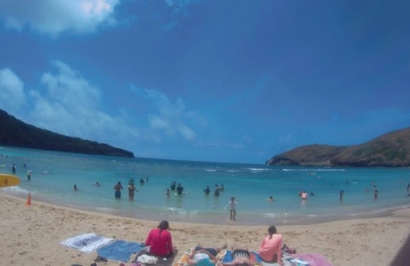 output_2523529609.jpg?type=w580