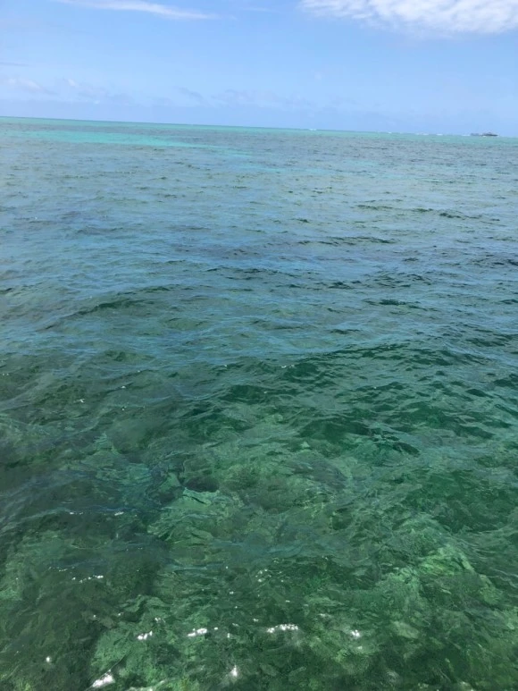 IMG_7284.jpg?type=w580