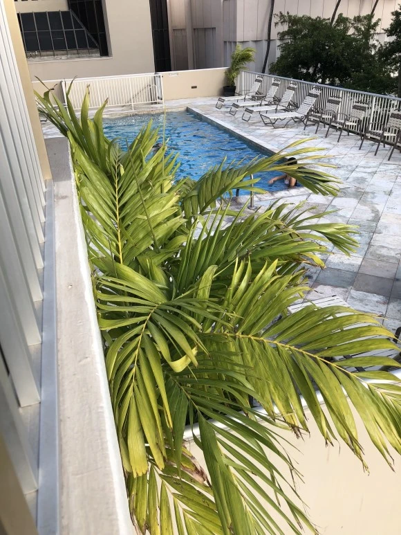 IMG_6613.jpg?type=w580