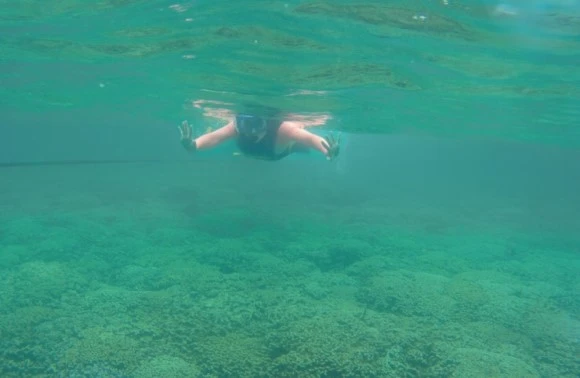 output_3862888413.jpg?type=w580