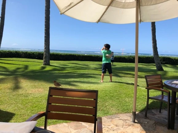 IMG_7647.jpg?type=w580