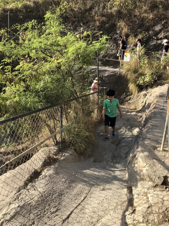 IMG_7520.jpg?type=w580