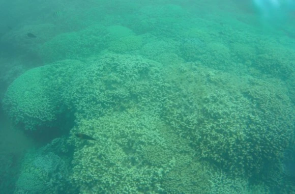 output_1650408448.jpg?type=w580