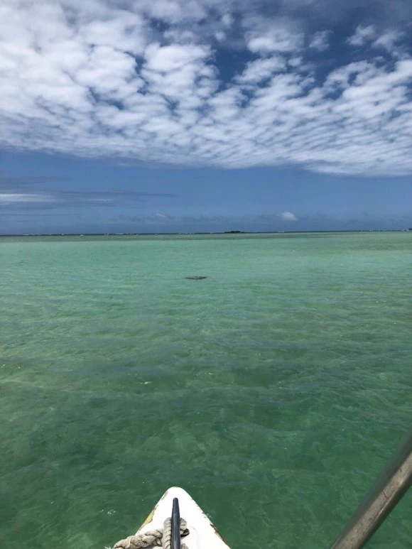 IMG_7278.jpg?type=w580