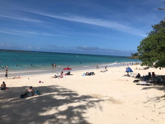 IMG_6833.jpg?type=w580