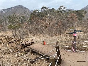 SE-c090bba6-1d0b-490e-99a0-b993a870e718.jpg?type=w1