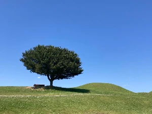 TalkMedia_i_1aaa370578dd.jpeg.jpeg?type=w1