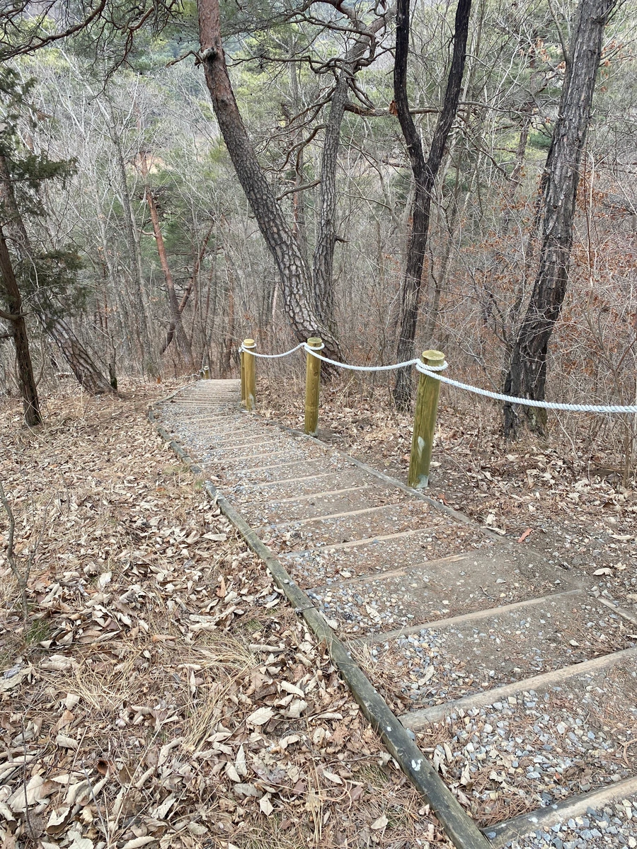 SE-a3d3af4e-2e92-4da9-b785-c0f33f9a1f59.jpg?type=w1