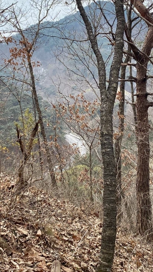 SE-e561241e-3616-4809-9b6e-1a7f45758091.jpg?type=w1