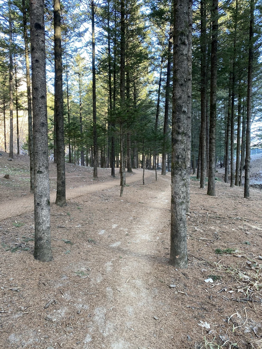 SE-76a20234-1139-473c-a400-846ade0df064.jpg?type=w1