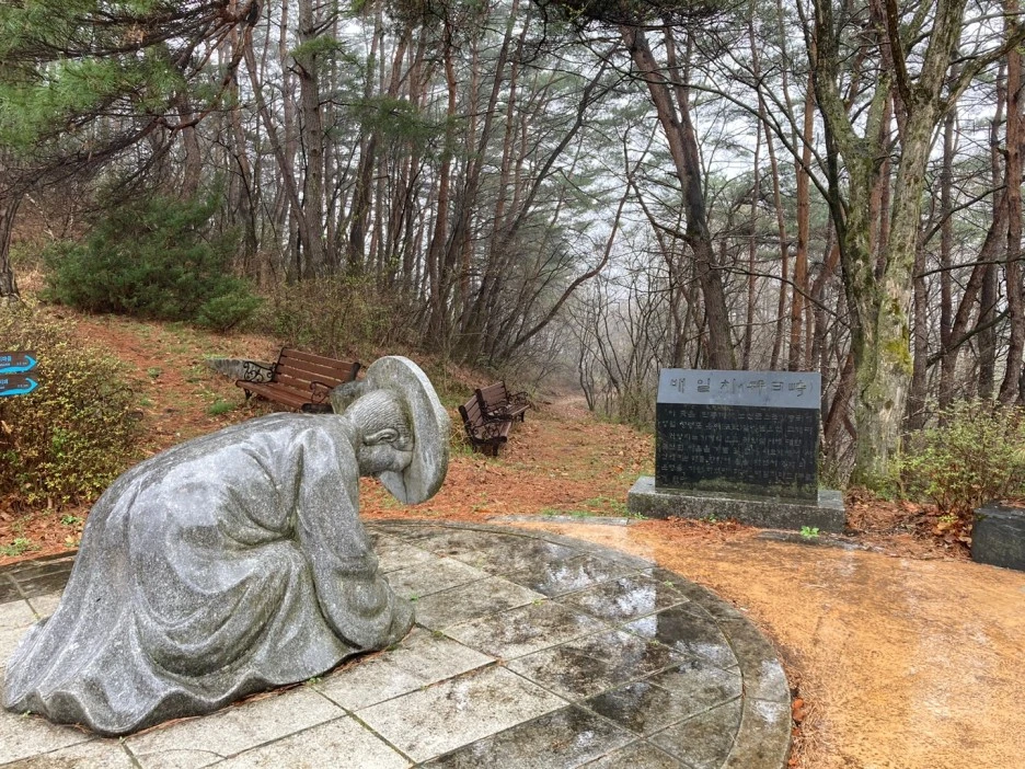 20210409_000329763_iOS.jpg?type=w1