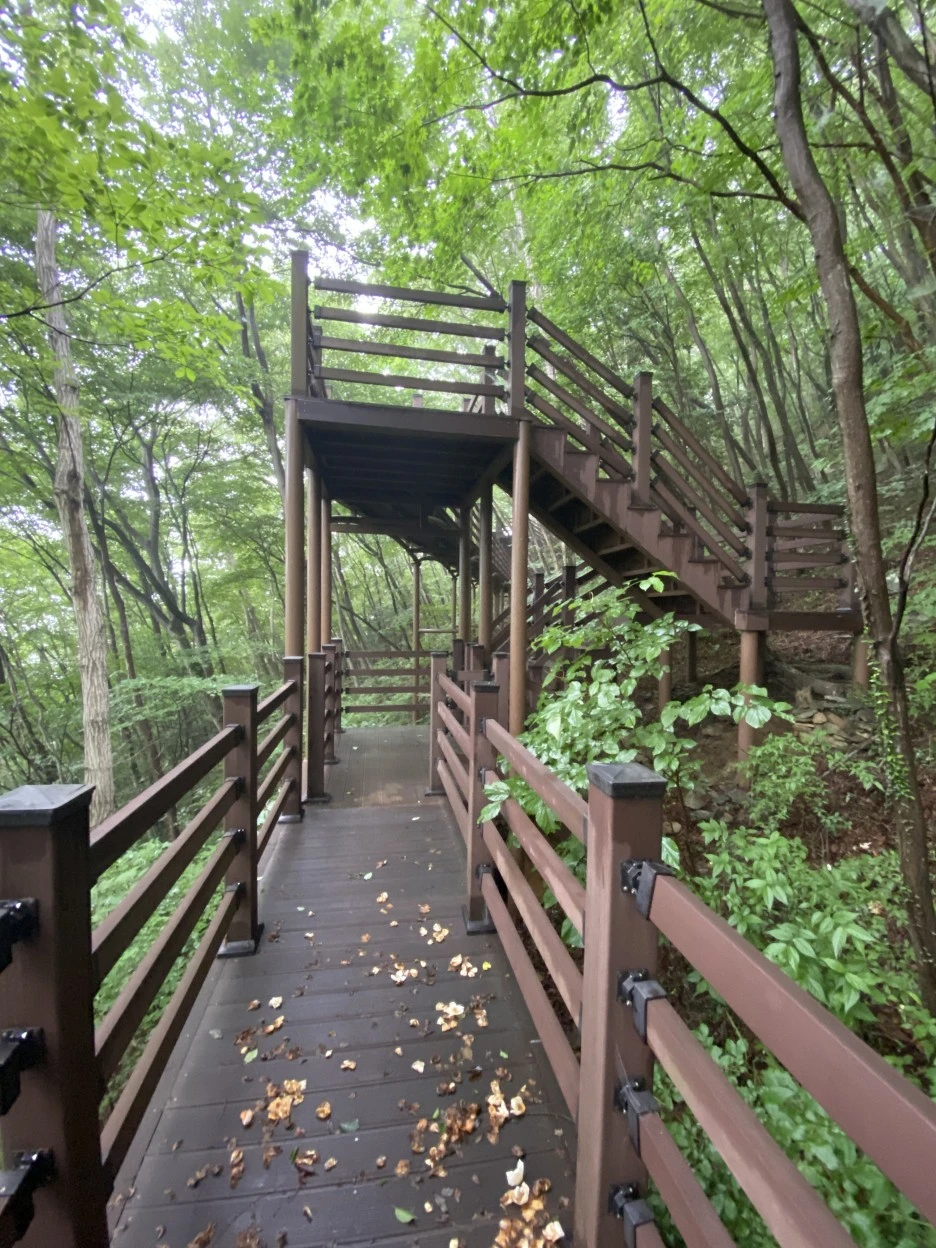 20220628_051835060_iOS.jpg?type=w1