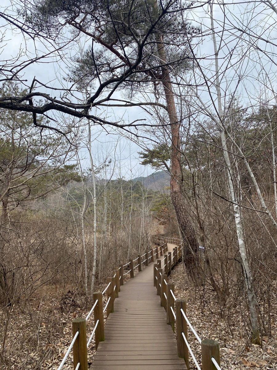 SE-c3912451-631f-48f1-ada5-af82765f62f0.jpg?type=w1