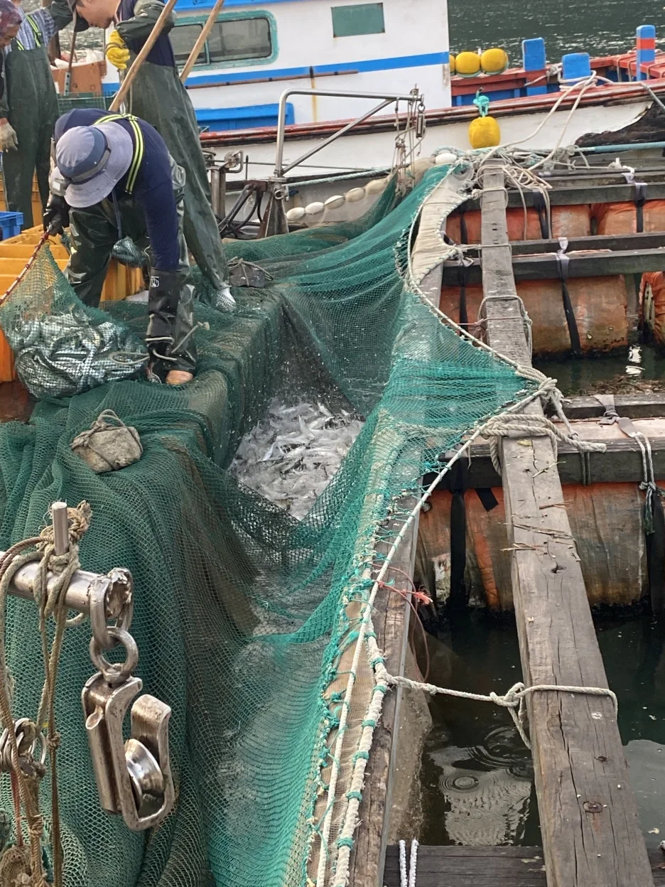 20240930_213015636_iOS.jpg?type=w1