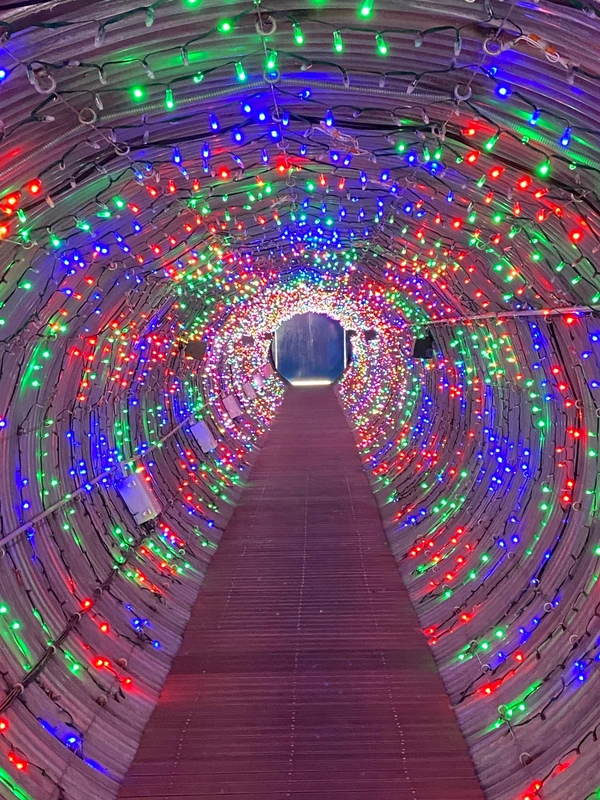 SE-cb8a16c9-b8f3-4eee-8d9a-02162e28e76c.jpg?type=w1