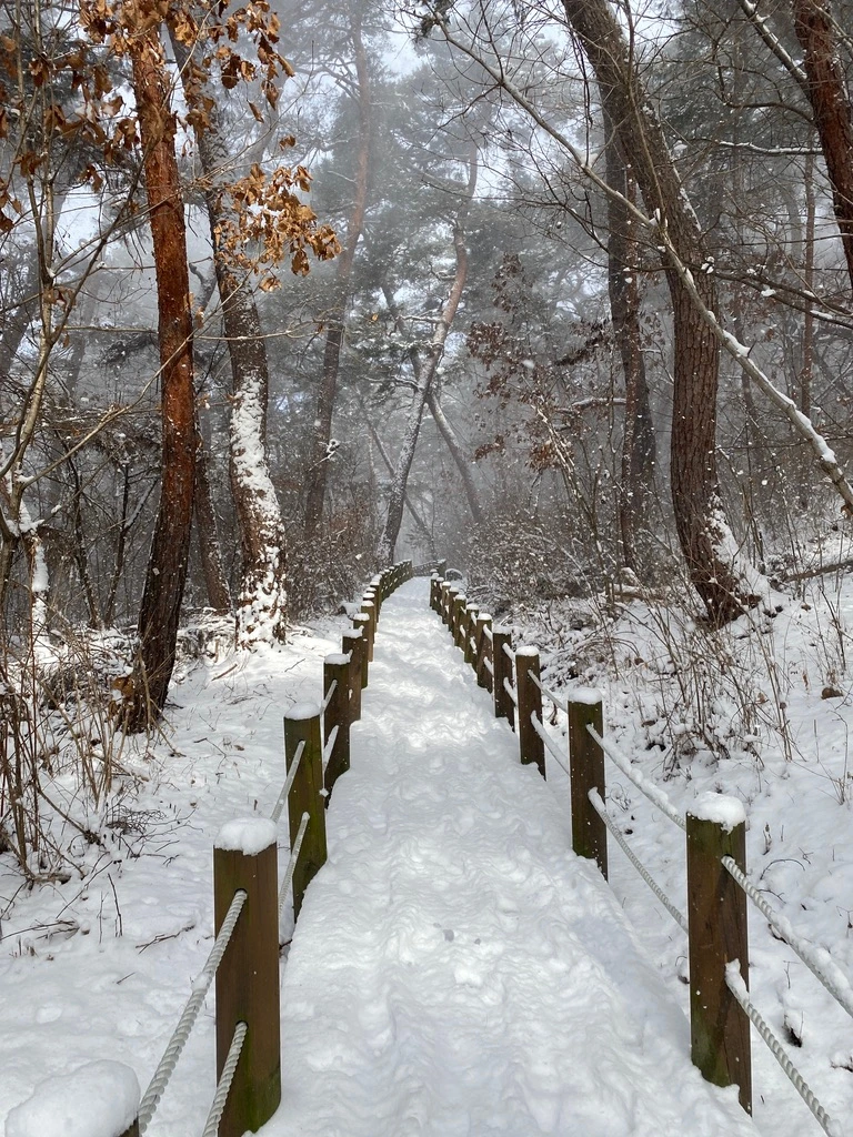 SE-8dd33a21-d2de-4e9c-8491-08ea17944fdd.jpg?type=w1