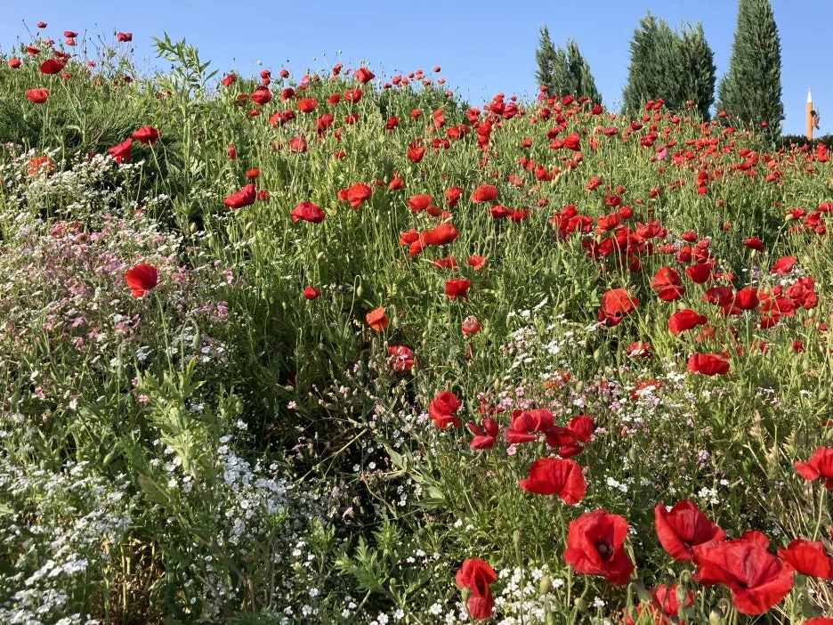 KakaoTalk_20240515_204611700_06.jpg?type=w1