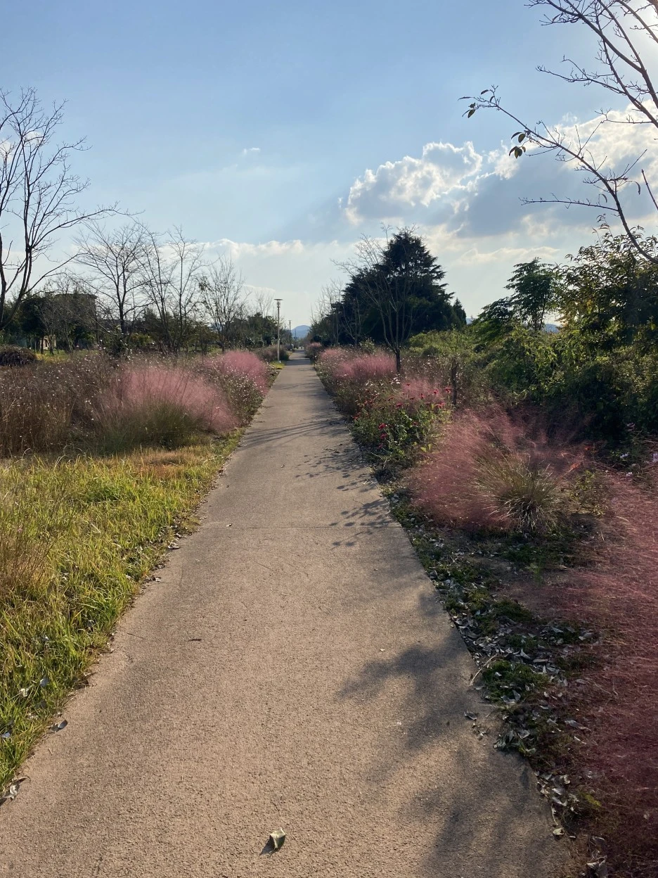 20231023_064451803_iOS.jpg?type=w1