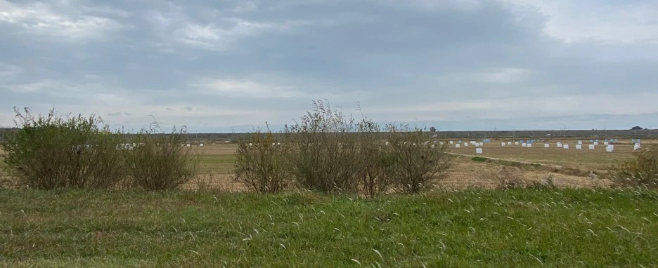 SE-a53cd750-1f6a-4631-9d2f-2d63444f34b9.jpg?type=w1