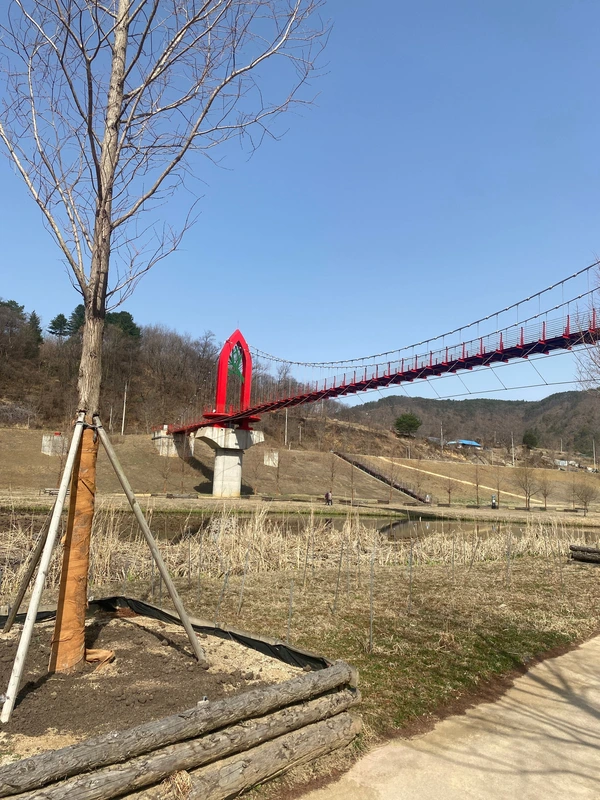 SE-71bb79f7-2cc4-4d6a-9df1-e7575f323343.jpg?type=w1