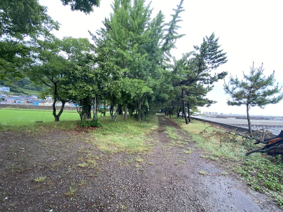 20220624_011415459_iOS.jpg?type=w1